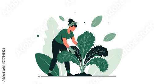 Person tending to leafy green vegetables in a garden illustration