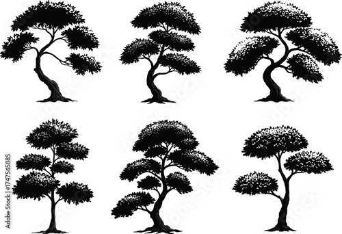 Silhouette illustration of stylized bonsai trees, black vector collection of curved decorative trees isolated on white background, zen garden landscape elements