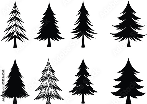 Collection of different pine tree silhouettes, black fir and spruce tree vector set, evergreen conifer forest design elements, nature illustration art