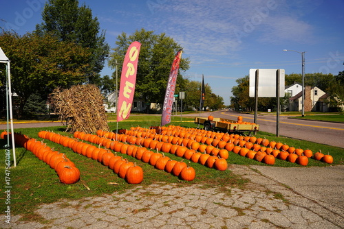 Bright orange big pumpkins are being sold for the fall festivals.