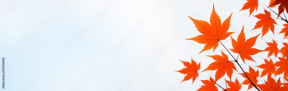 Fototapeta premium Bright red autumn maple leaves on branch against soft white and blue background with empty space for copy or seasonal advertising template. Ai generative