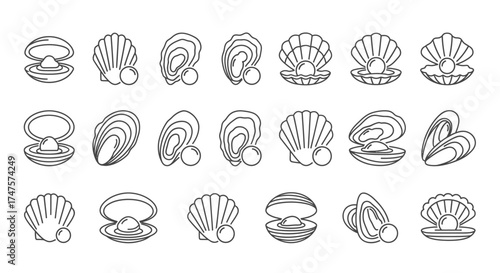 A collection of line art illustrations depicting various open and closed seashells, some revealing a pearl inside, in a flat, graphic style.