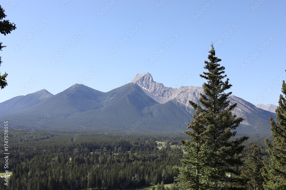 Obraz premium mount hood oregon