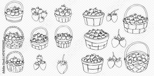 Collection of hand-drawn line art illustrations featuring fresh strawberries in various baskets and as individual berries.