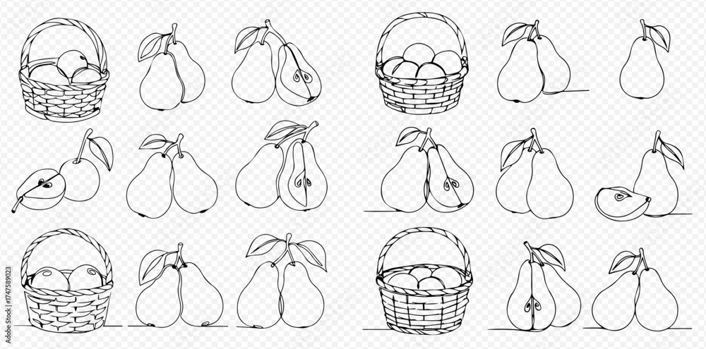 Fototapeta premium A collection of continuous line art drawings featuring pears, including whole fruits, cut halves, pairs with leaves, and pears in wicker baskets, all in a simple outline style.