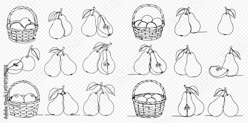 A collection of continuous line art drawings featuring pears, including whole fruits, cut halves, pairs with leaves, and pears in wicker baskets, all in a simple outline style.