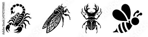 Insect Illustrations: Scorpion Cicada Beetle and Bee Silhouettes.
