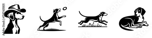 Dogs in Various Poses: Cowboy Playing Running and Resting.