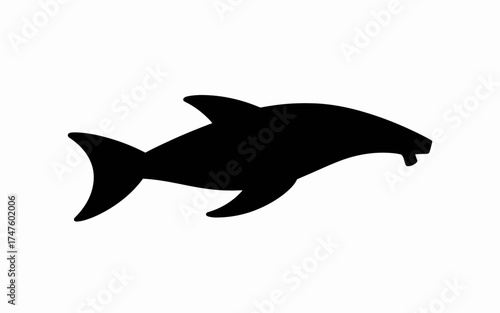 dolphin vector illustration