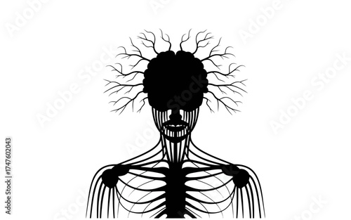 human skeleton silhouette