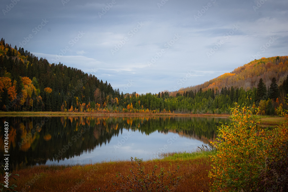 Fototapeta premium Fall 2025 Alberta, Canada