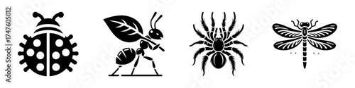 Insects: Ladybug Ant Spider Dragonfly Black and White.