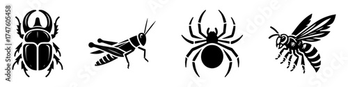Insects Collection: Beetle Grasshopper Spider Wasp.