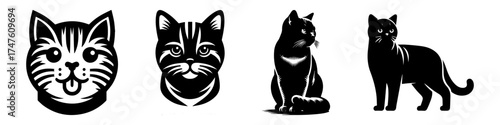 Black Cat Images: Various Poses and Styles in Monochrome.