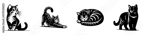 Cats in Various Poses: A Black and White Illustration.