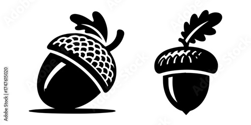 Acorn Silhouette Illustrations: Natures Tiny Treasures in Black and White.