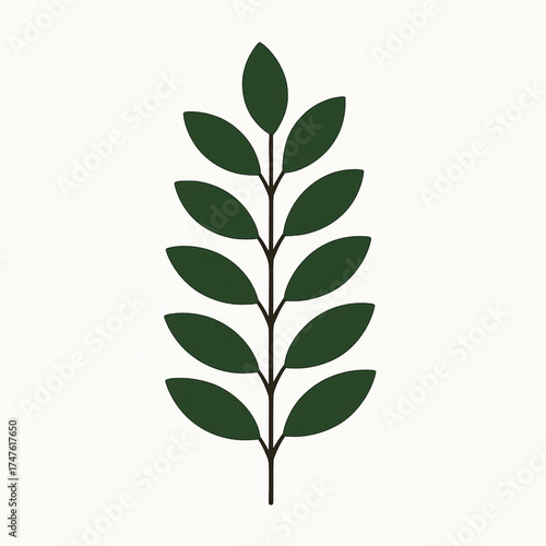 Simple graphic illustration of a green plant leaf branch with a white background, representing nature and growth