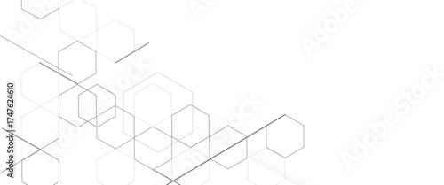 Modern white background line hexagon elements abstract. Concept engineer, medical, technology, science, data security.