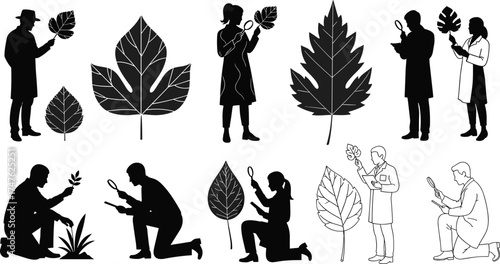 Botanical Observation Silhouette Vector Set – People Examining Leaves with Magnifying Glasses for Environmental Education, Nature Study, and Scientific Research Concepts
