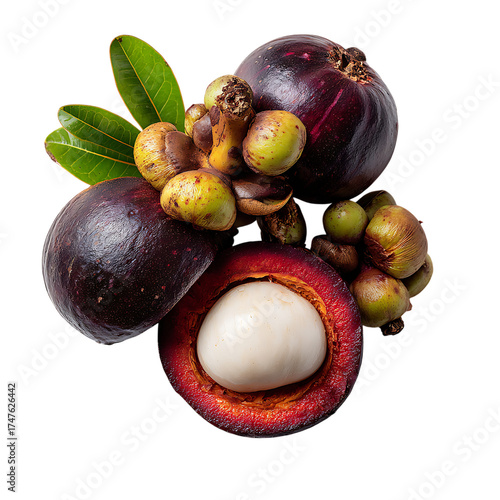 Mangosteen (2).png