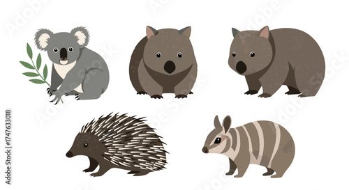 Discovering unique marsupials and monotremes native to Australia's diverse landscapes.