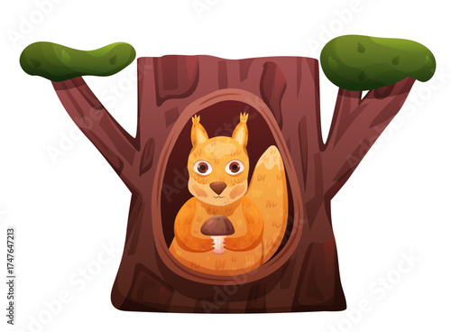 Cute squirrel in tree hole den. Forest animal home