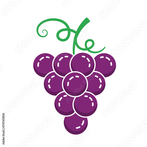 A bunch of ripe purple grapes hanging on a vine with green tendrils.