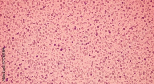 Intricate microscopic visualization showcasing a dense array of vital blood cells, revealing their fundamental structure and distribution essential for advanced biomedical research and diagnostics