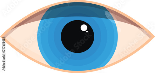 Light blue eye staring intensely with black pupil and skin color eyelids, front view