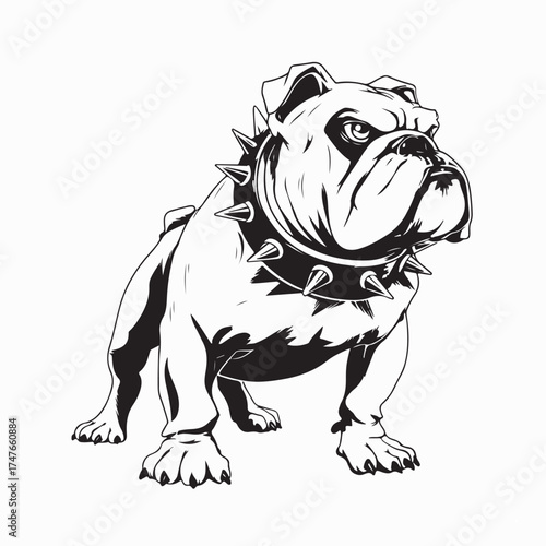 Angry Bulldog in Power Pose with Spiked Collar Vector Design
