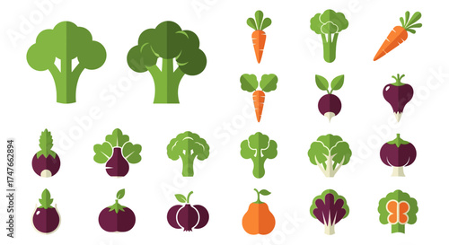 Assortment of colorful fresh vegetables represented in a simple minimalistic flat design style