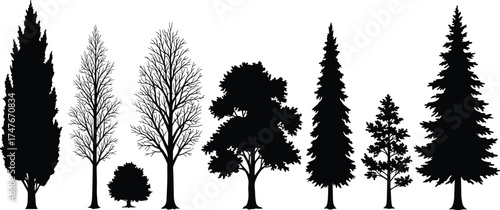 Tree silhouettes, forest shapes, botanical variety, foliage patterns, nature design, landscape elements, black trees, seasonal diversity, comparison