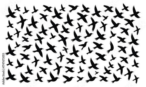 Birds flying silhouette seamless pattern on white background vector illustration