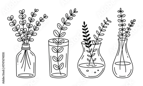 Minimalist Line Art Illustration of Plants in Vases for Home Decor