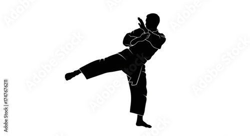 silhouette of a man practicing martial arts
