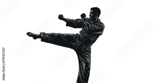 silhouette of a karate man