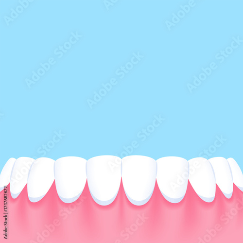 Lower teeth (Normal) - Text box sign blank banner (square) illustration vector design. Dental care concept.