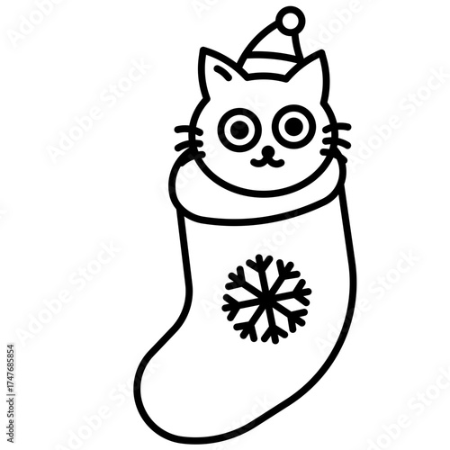 Cat in Christmas sock
