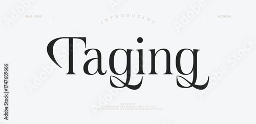 Classy elegant font, vintage type or luxury premium typeface, vector English royal alphabet. Classic typography in modern or old art deco style, serif letters for modern or retro poster font	
