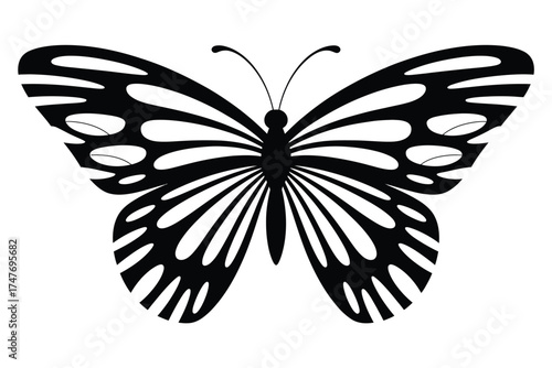 Striking black and white butterfly vector illustration for scalable design projects vector