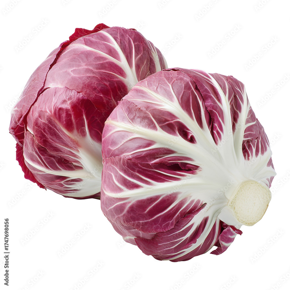Obraz premium Two fresh heads of radicchio displaying deep red and white veined leaves isolated on white background