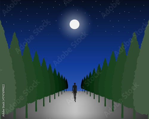 A minimalist night scene illustration showing a person walking down a tree-lined path under a bright full moon. 