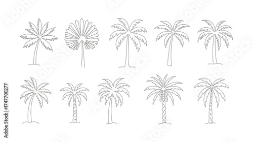 Hand-drawn doodle set of various palm tree vector icons in thin line art style for tropical summer and vacation designs