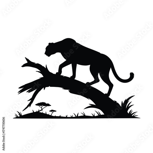 Silhouette of a black panther on a tree branch in the savanna