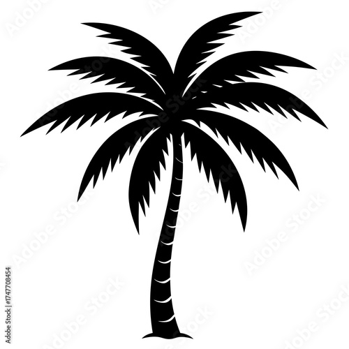 palm trees silhouettes