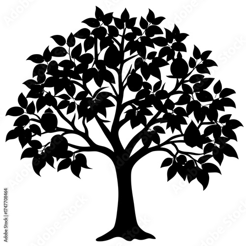black and white tree