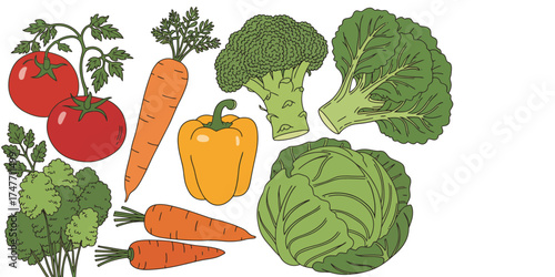 Scalable vector illustration of fresh vegetables including tomatoes broccoli carrots and bell pepper vector
