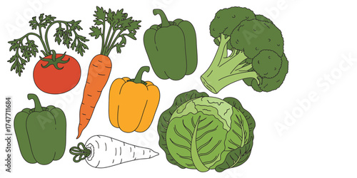 Assorted fresh vegetable illustration vector graphics scalable for various design projects vector