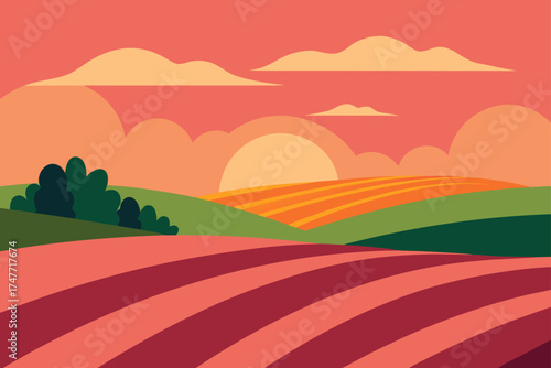 Landscape view of fields at sunset with clouds above