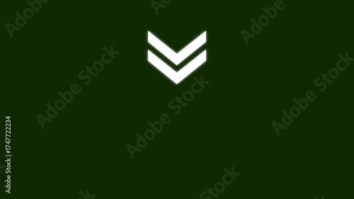 Down-directional arrow loop animation. Swipe right for the animation. 4k video